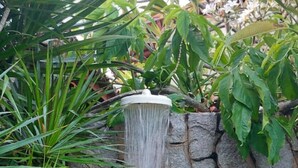 A waterfall cascading down a stone wall surrounded by lush greenery. - Cumbuco - Beach house with pool and deck Ceará (Praia de Cumbuco Caucaia)