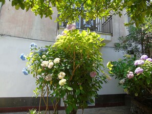 Exterior detail - Vacation House "Antica Cartiera Sant'Elia" - POZZO (Campania)