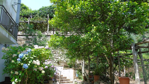 Un jardin agrémenté d’un escalier en pierre menant à un bâtiment, le tout entouré d’une végétation luxuriante et de plantes en fleurs.