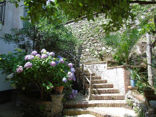Una escalera de piedra conduce a un edificio, rodeado de vegetación exuberante y plantas en flor.