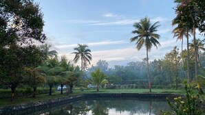 A serene garden with a pond, palm trees, and a stone pathway. - Lake Vechoor Villas By BRDGE HOSPITALITY (Kottayam)