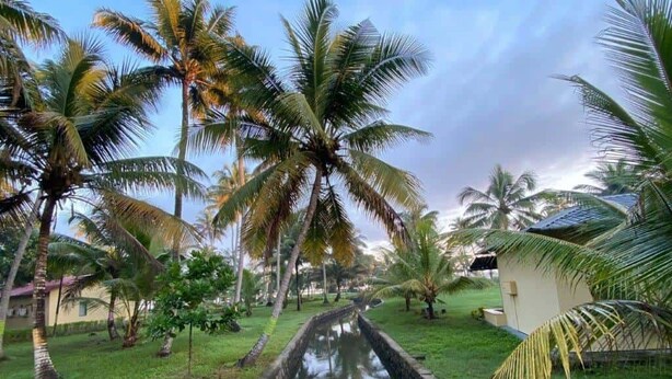 A tropical garden with palm trees and a water channel. - Lake Vechoor Villas By BRDGE HOSPITALITY (Kottayam)