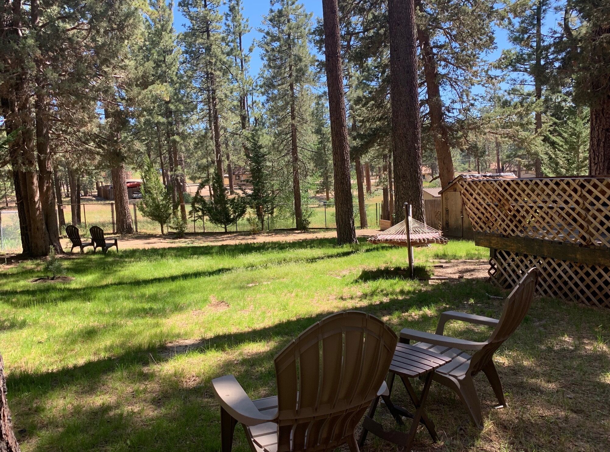 Un terrain de camping équipé de tables et de chaises pour pique-nique, entouré de grands arbres et délimité par une clôture.