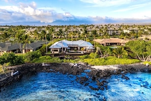 Studio (4 Bedrooms) | View from room