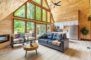 Televisión y chimenea 