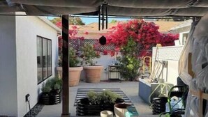 A covered outdoor area with potted plants and a view of a building. - NEW Cozy Studio City Guesthouse in Prime Location (Los Angeles)