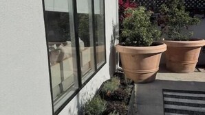 A house with a large window, potted plants, and a concrete pathway. - NEW Cozy Studio City Guesthouse in Prime Location (Los Angeles)