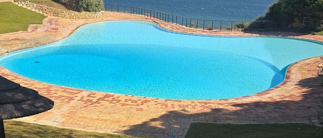 A swimming pool with a curved edge, surrounded by a stone deck and grass, with a view of the ocean.