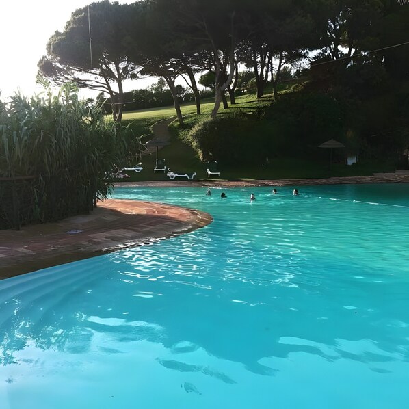 A swimming pool with clear water, surrounded by a grassy area and trees.