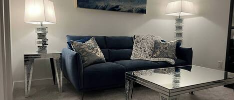 Smart TV, fireplace, DVD player, books