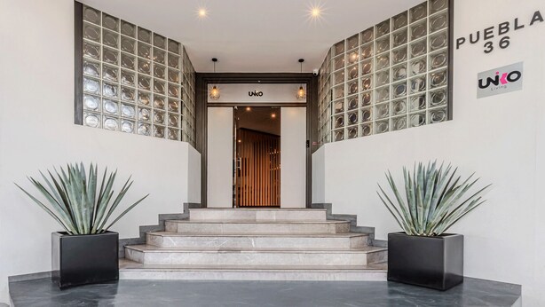 Entrada moderna de un edificio con paredes de bloques de vidrio, una escalera y dos plantas en macetas.