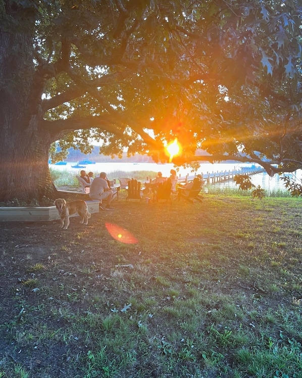Boendeområde