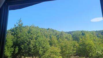 Design Double Room | View from room