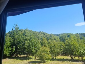 Kamar Double Desain | Pemandangan dari kamar