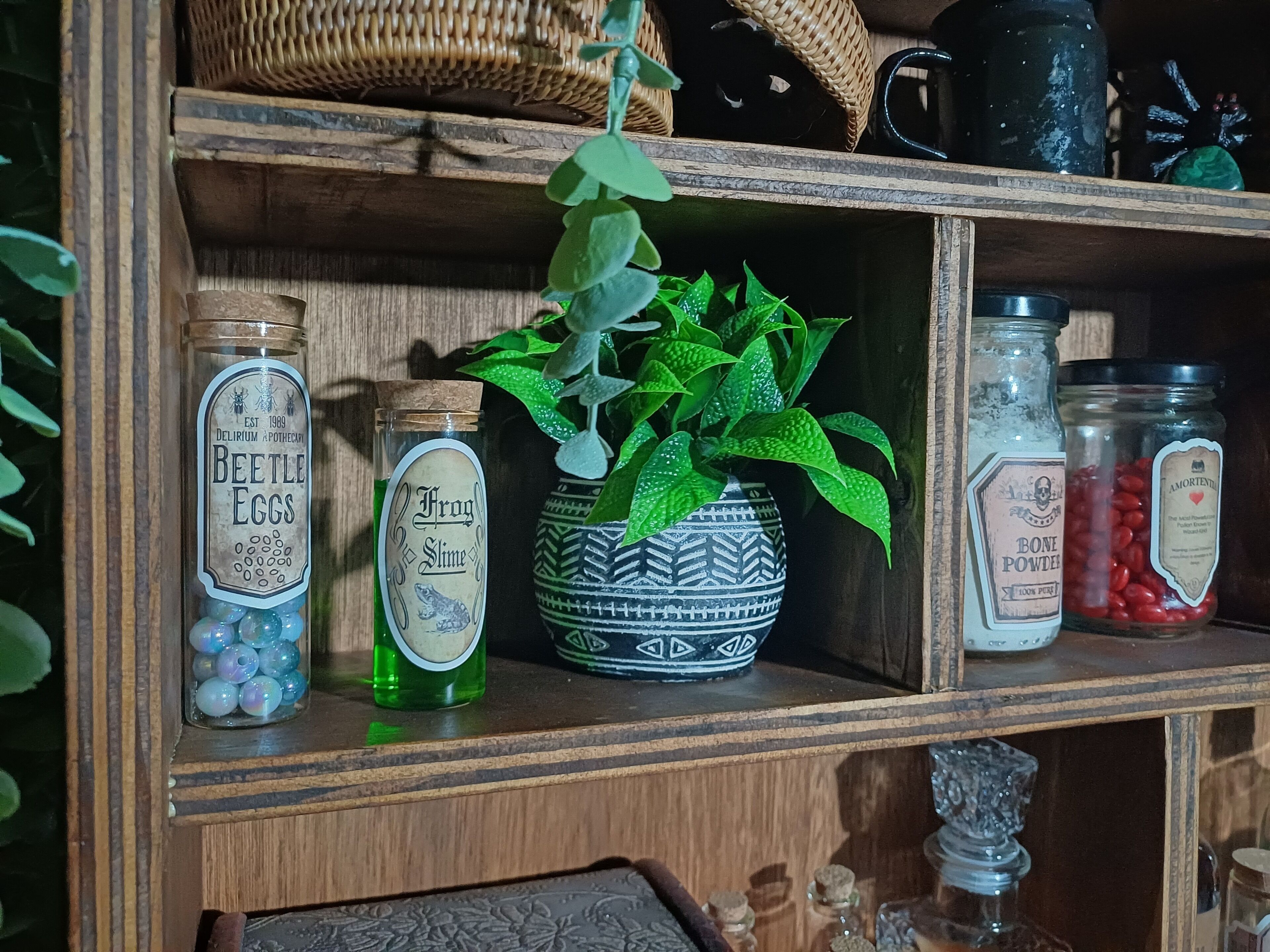 A shelf with various jars and containers, including a jar labeled 'Beetle Eggs' and another labeled 'Bone Powder'.