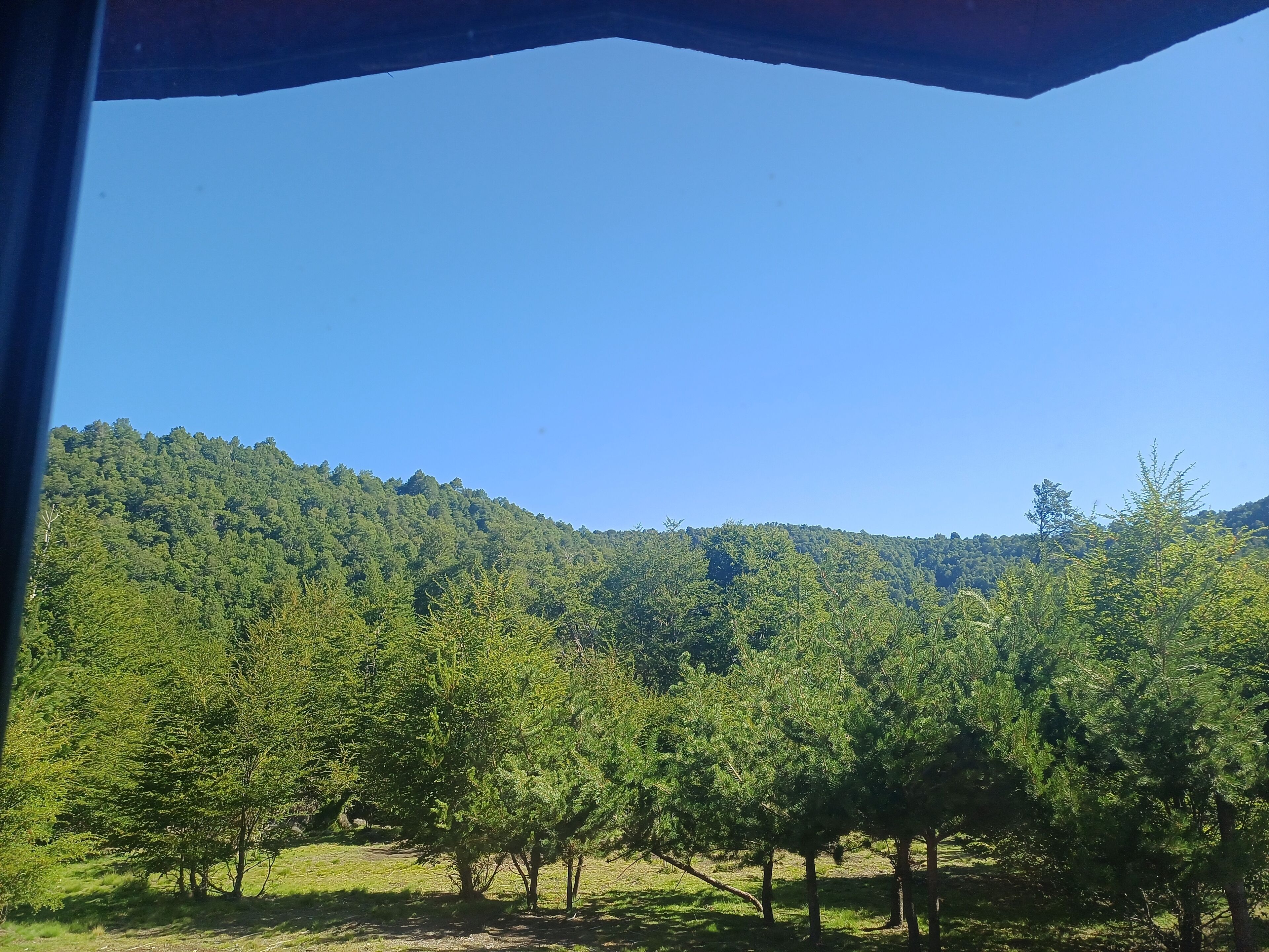 Une vue d’une colline boisée sous un ciel dégagé.