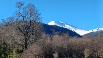 A mountain with snow-capped peaks, a clear blue sky, and a barren landscape with leafless trees.