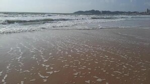 A beach with waves and a distant shoreline. - Soul Hostel Natal (Natal)