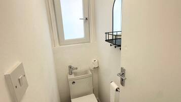 Secador de cabelo, toalhas de banho, papel higiênico