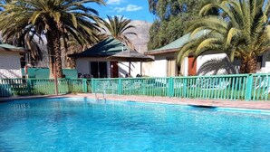 Une piscine d’un bleu éclatant, entourée de palmiers et bordée d’une clôture verte.