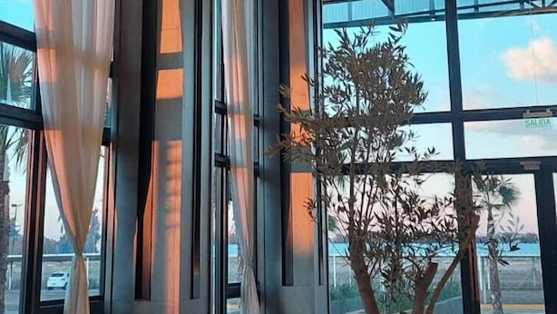 A modern interior with a sofa, a large potted plant, and multiple hanging pendant lights. - Tótem Hotel & Spa (San Martin)
