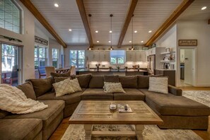 TV, fireplace, video games, books