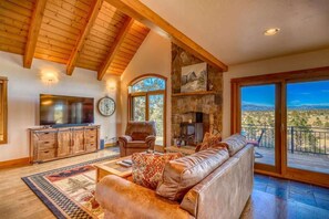 TV, fireplace, video games, books
