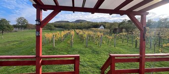 Charming 2-bedroom cottage with WiFi, AC in beautiful Nemesgulács