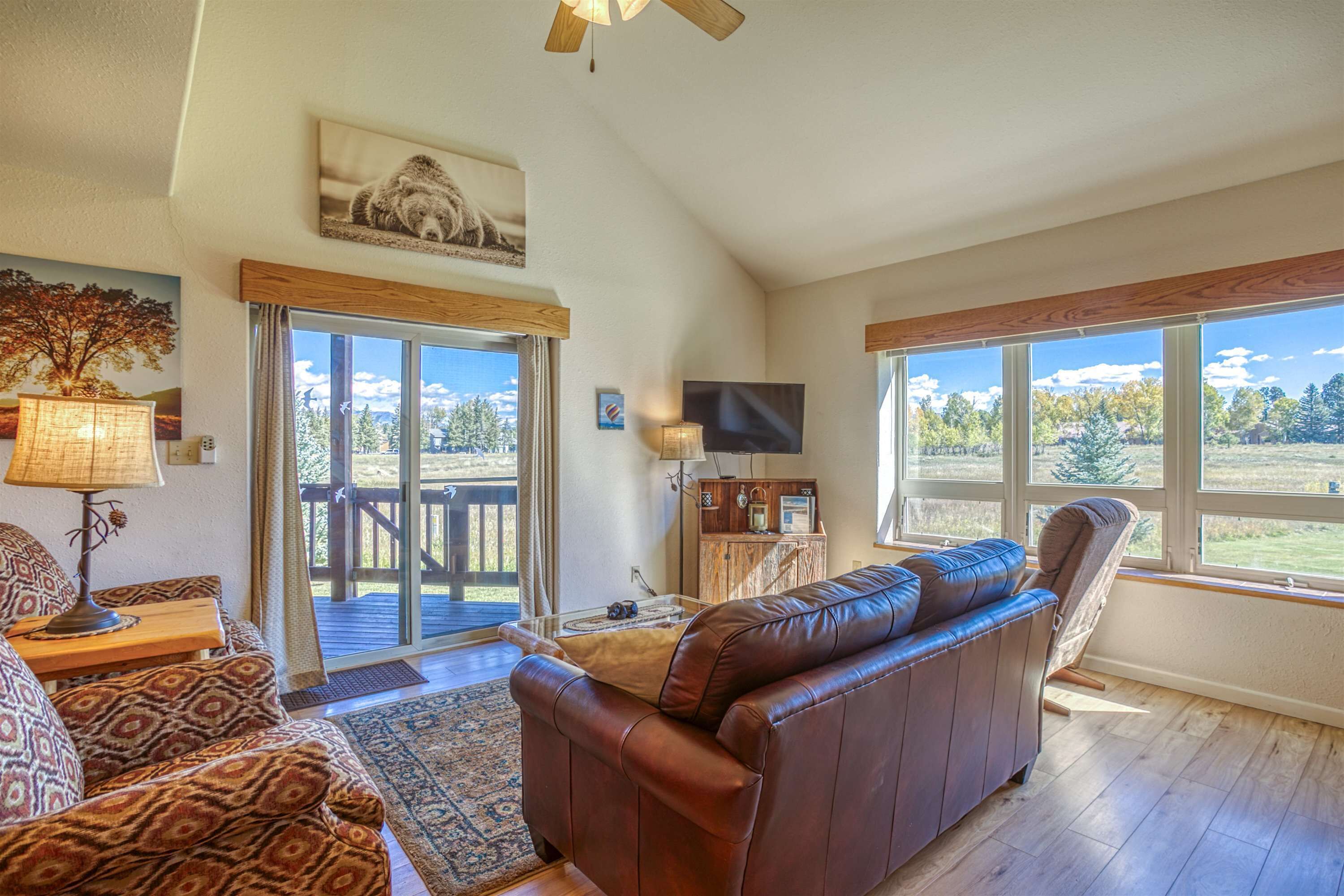 电视、壁炉、书