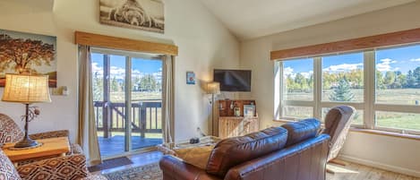 Televisión, chimenea, libros