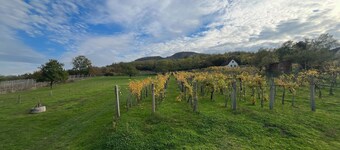 Cosy one bedroom cottage with perfect views with AC close to Lake Balaton