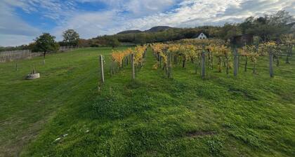 Cosy one bedroom cottage with perfect views with AC close to Lake Balaton