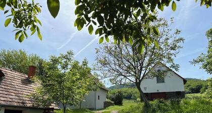 Cosy one bedroom cottage with perfect views with AC close to Lake Balaton