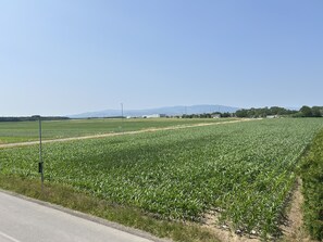 Overig