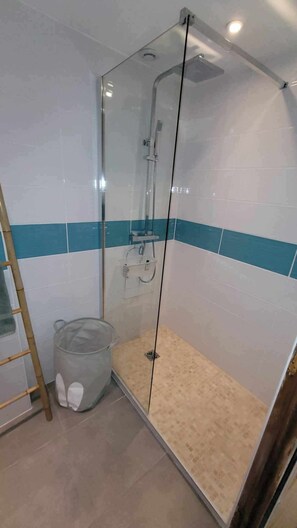 Shower, hair dryer, towels, toilet paper