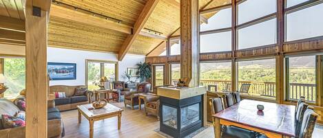 TV, fireplace, books