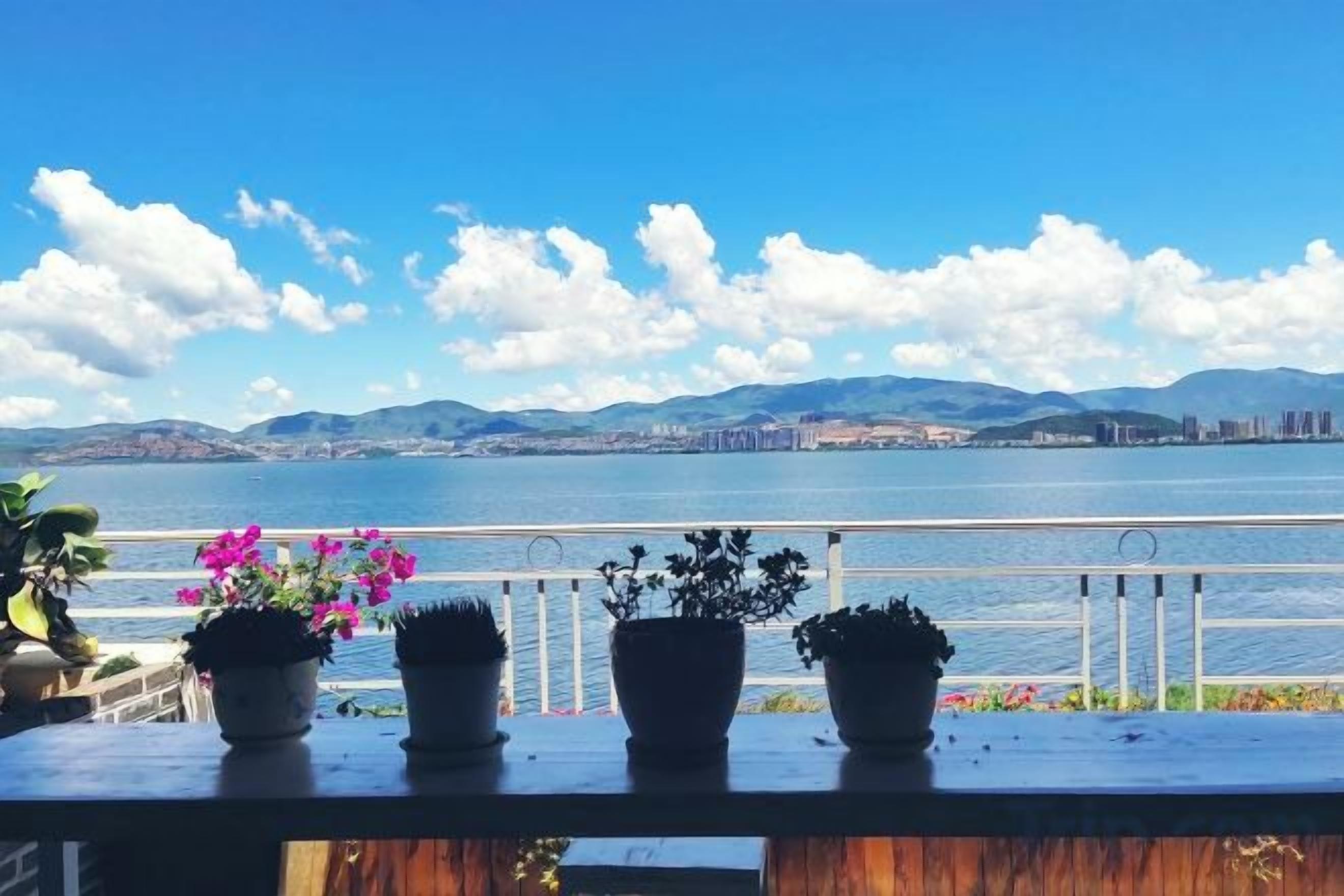 Un balcón con plantas en macetas y vistas a un cuerpo de agua y un paisaje urbano distante.