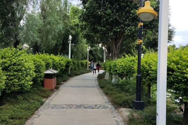 Un sendero bordeado de vegetación, con una farola y un contenedor de basura.