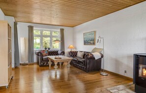 تلفزيون، مدفأة