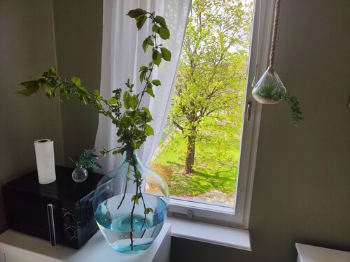 Scandi-Modern Getaway Near park