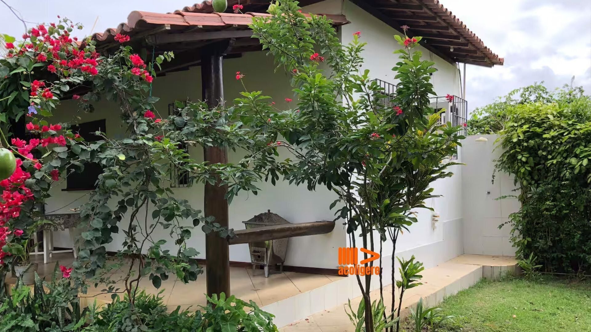 Basic Chalet (POND 01) | Terrace/patio