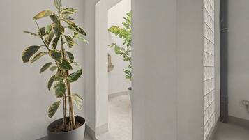 A potted plant in a hallway with white walls and a tiled floor.