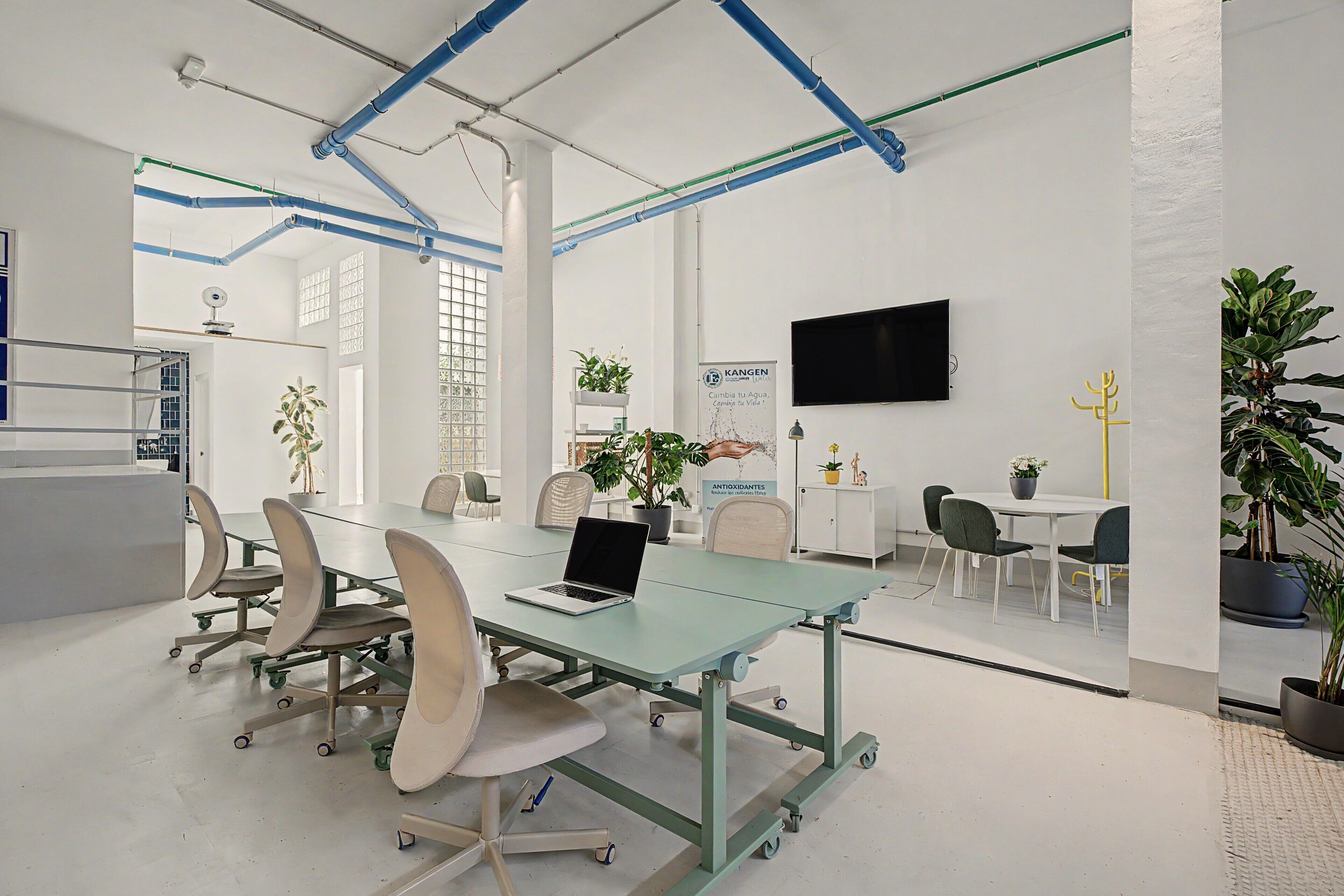 A modern conference room with a glass table, chairs, a laptop, potted plants, and a mounted TV.