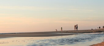 À 100m de la plage | T2 cosy + terrasse & jardin