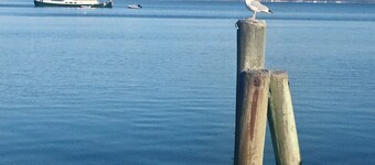 Vacation apartment by the Baltic Sea - Flensburg Fjord with dog, 450 meters to the beach