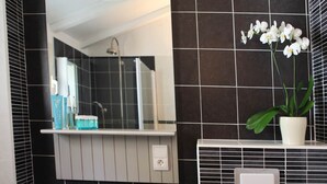 A bathroom with a blue sink, a mirror, a potted orchid, and a shower visible in the reflection. - LATU CORSU – Cosy studio for 2 (ERSA)