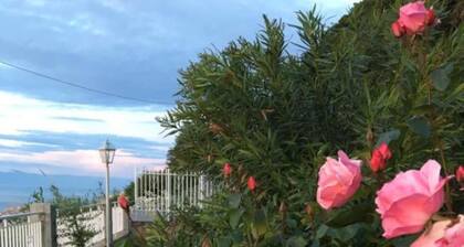 One-Bedroom Apartment 2