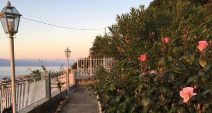 One-Bedroom Apartment 2