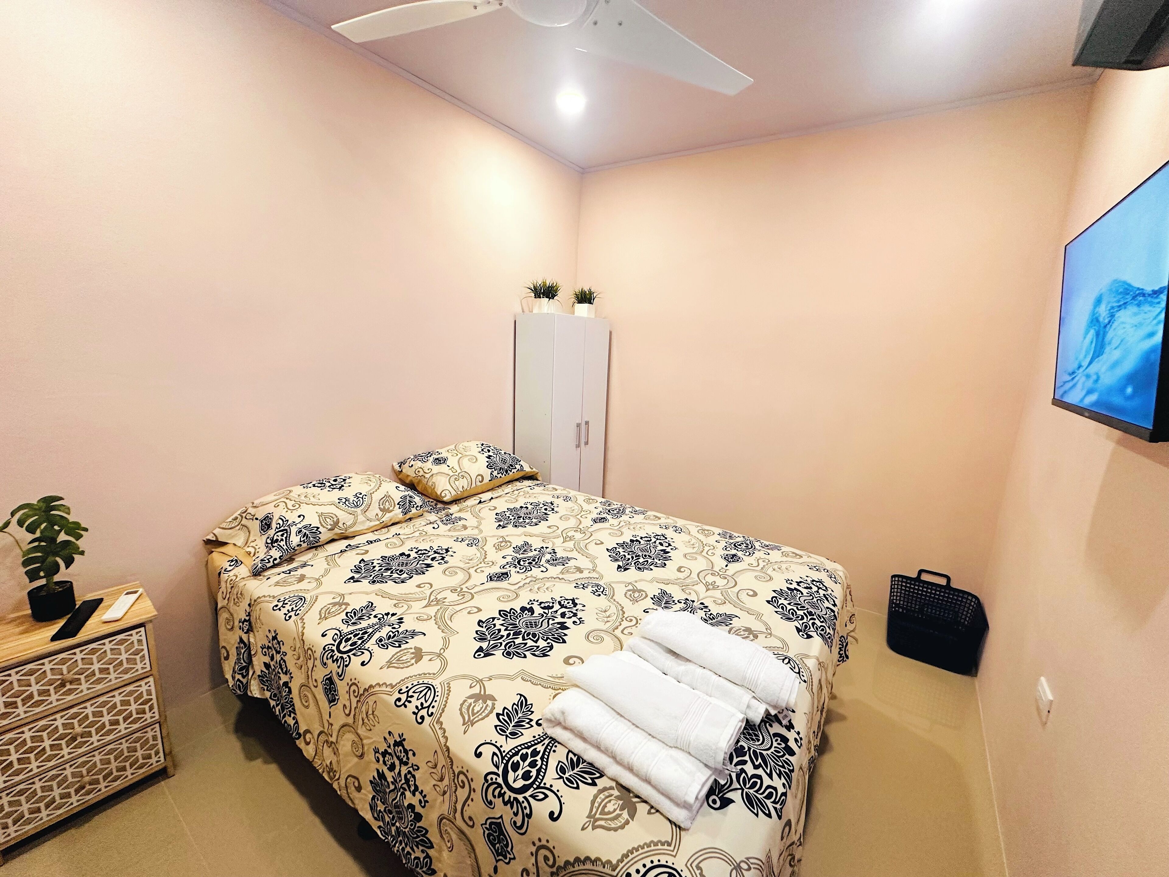 A bedroom with a bed, a wardrobe, a ceiling fan, a TV, and a small plant.