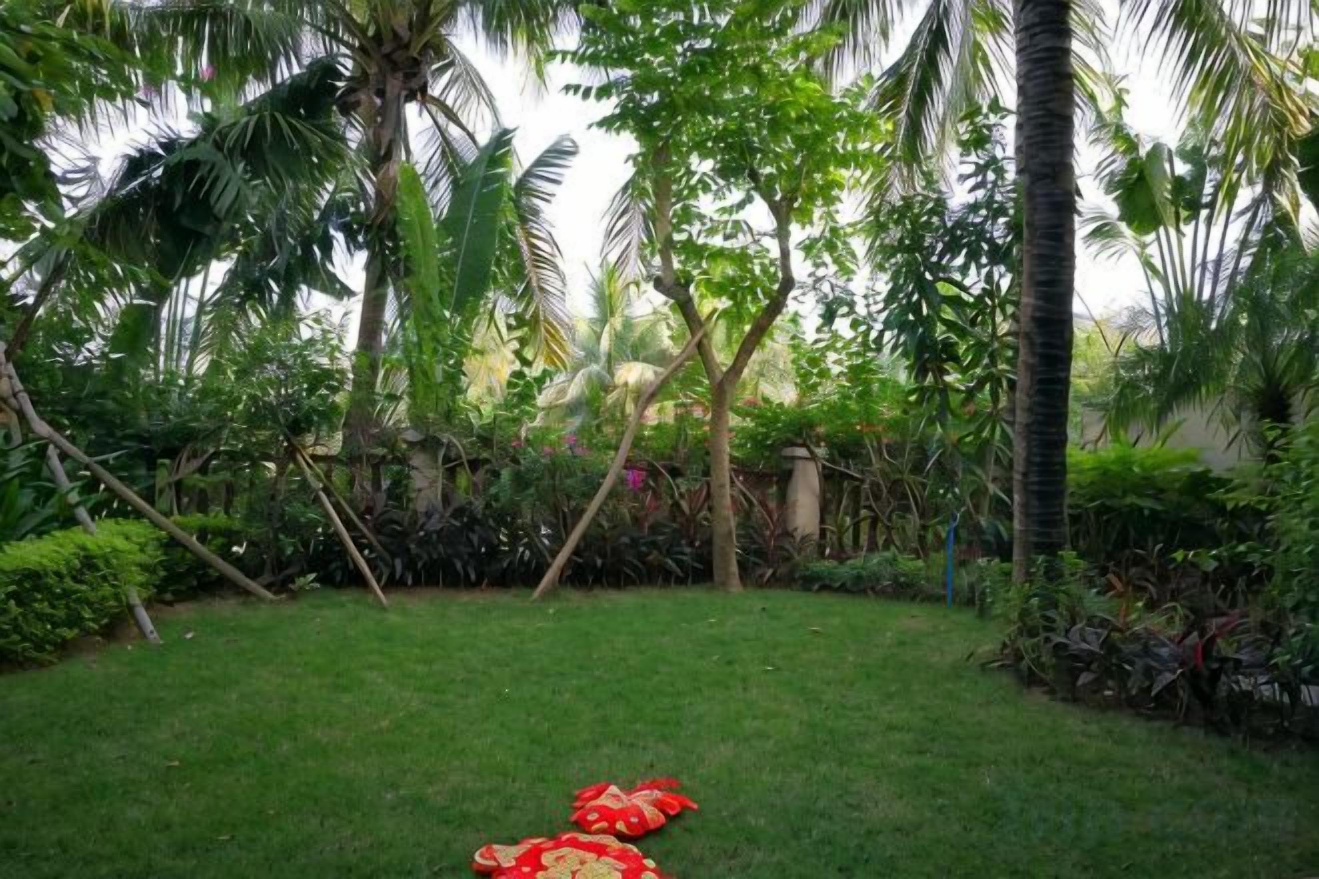 Un jardín exuberante con césped cuidado y diversas plantas tropicales.